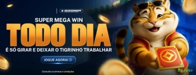 Certificações de segurança e licenças da Bgjogo